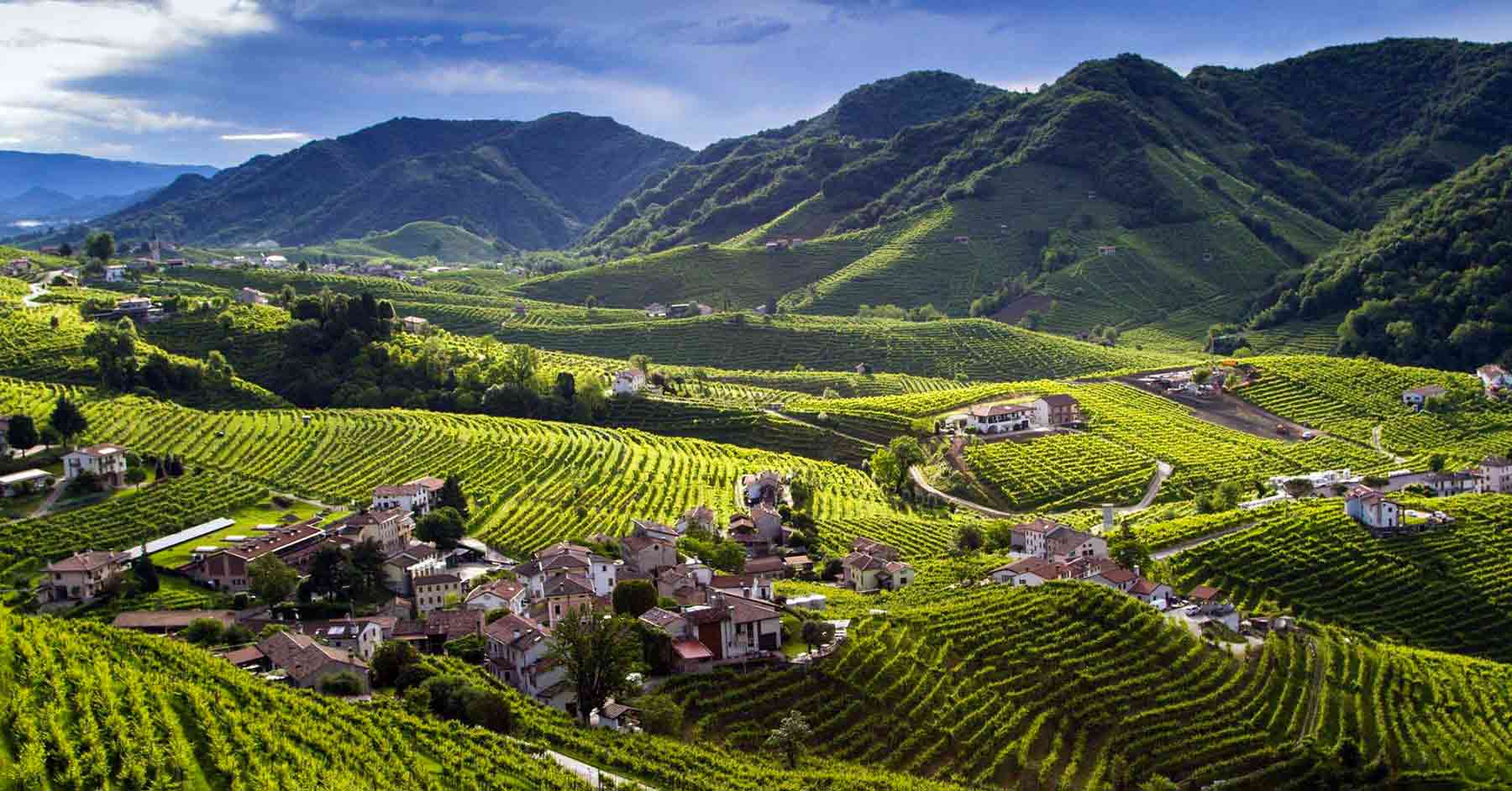 Colline del Prosecco