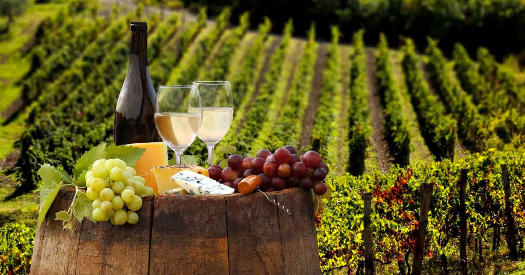 Colline del Prosecco tra uva e vini