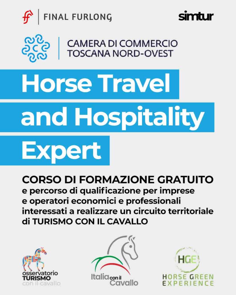 Horse Travel & Hospitality Expert