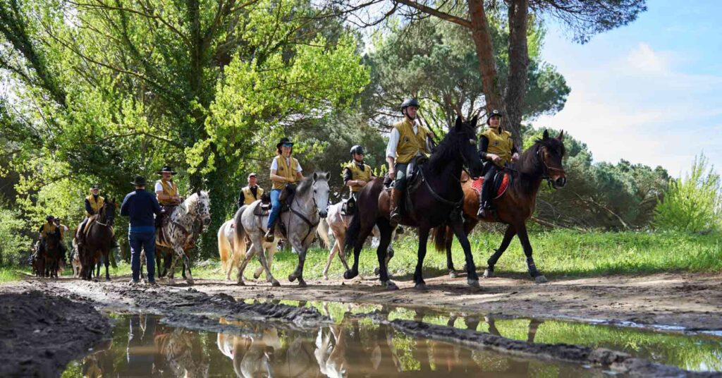 turismo con il cavallo
