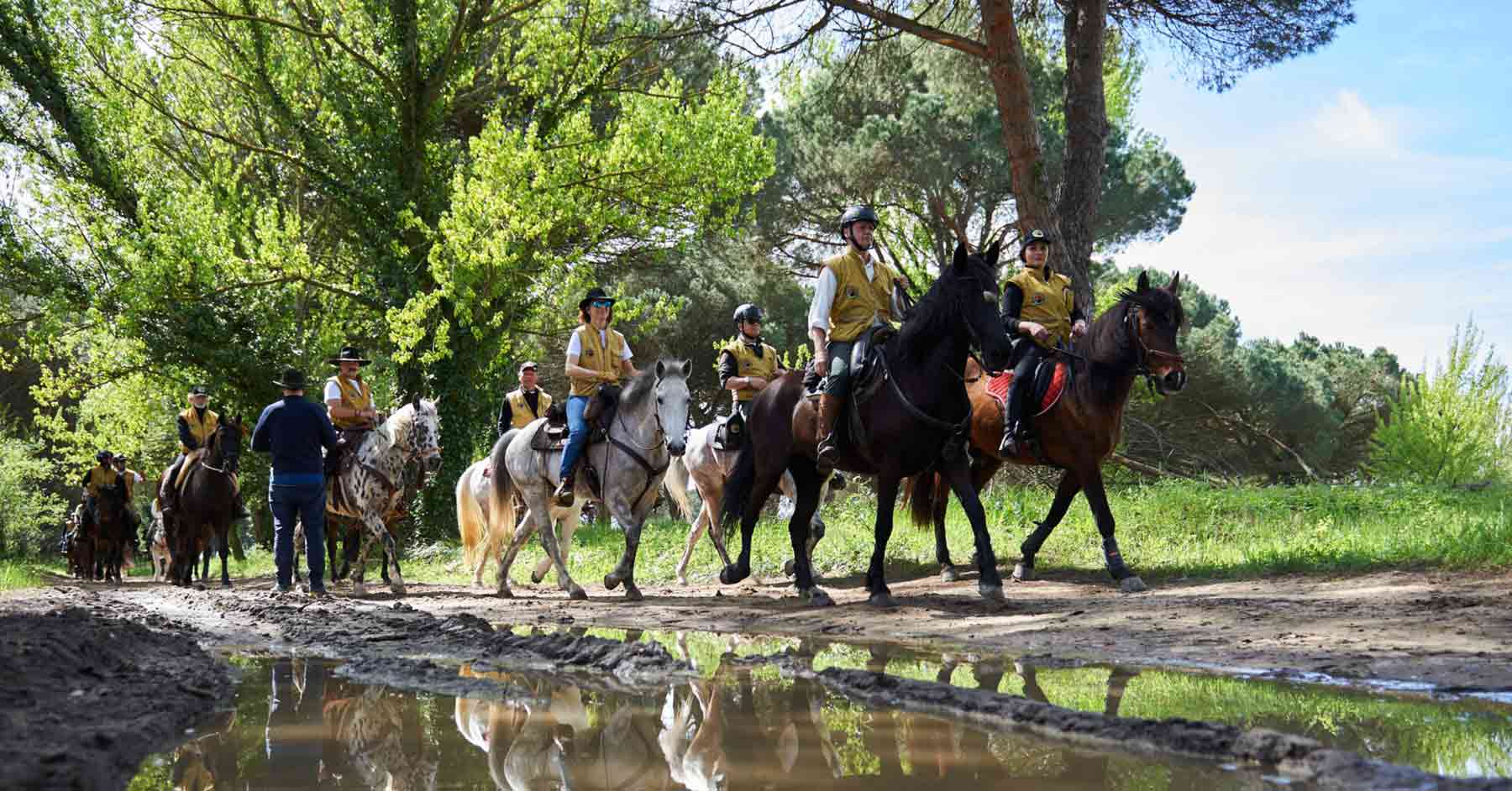 Equiraduno del Giubileo