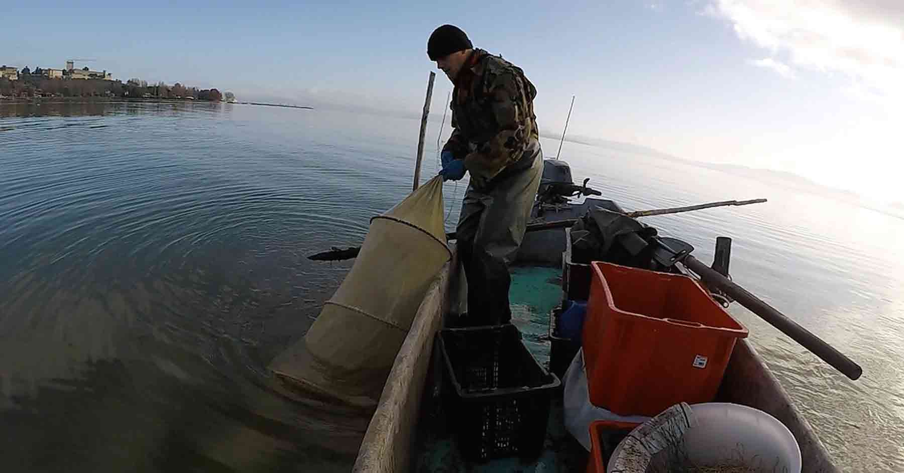 Pesca nel Lago Trasimeno