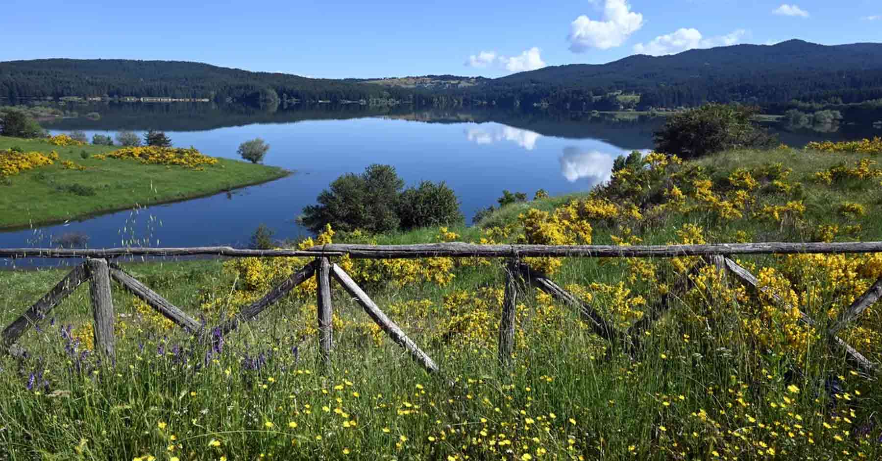 Parco della Sila