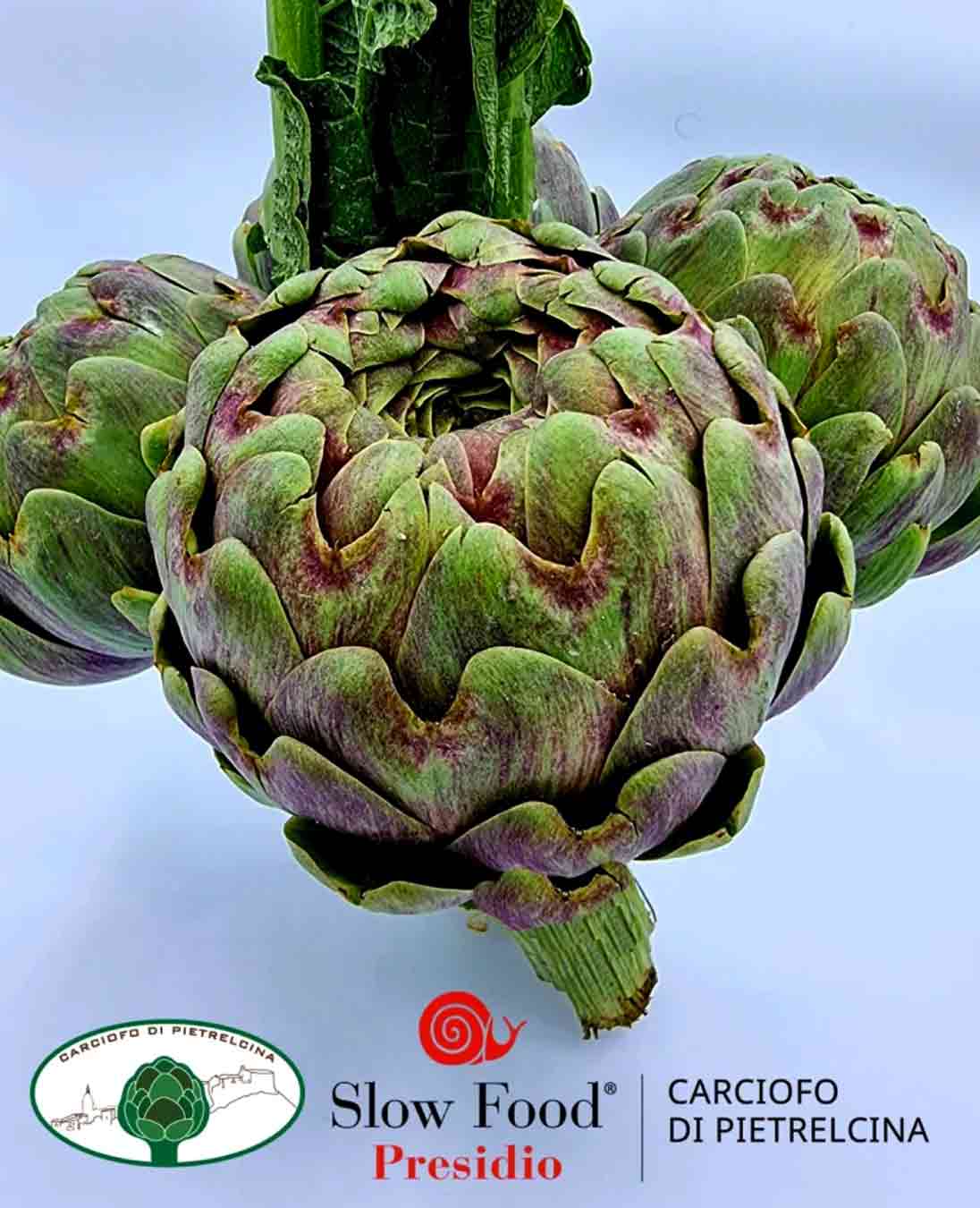 Carciofi di Pietrelcina