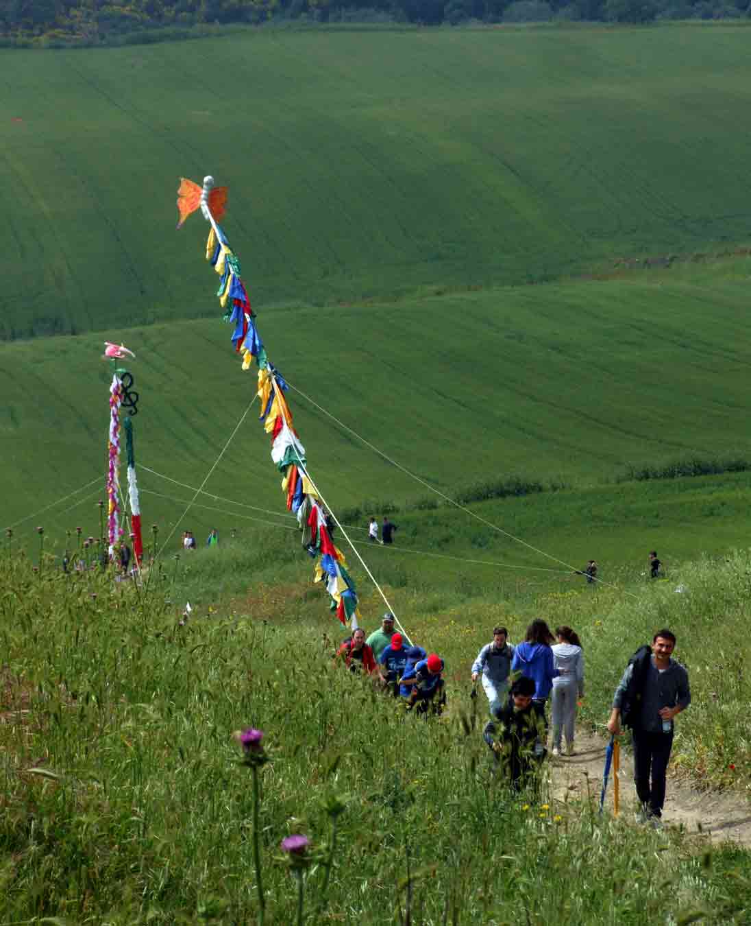 Processione di Sant'Alberto a Pietramontecorvino