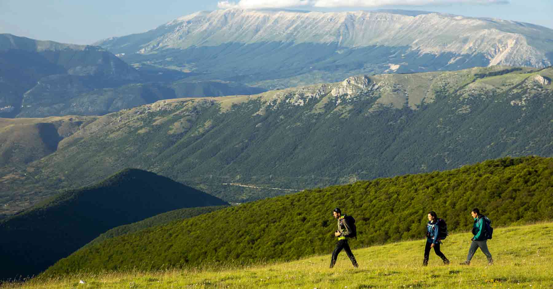 Rewilding Appennines