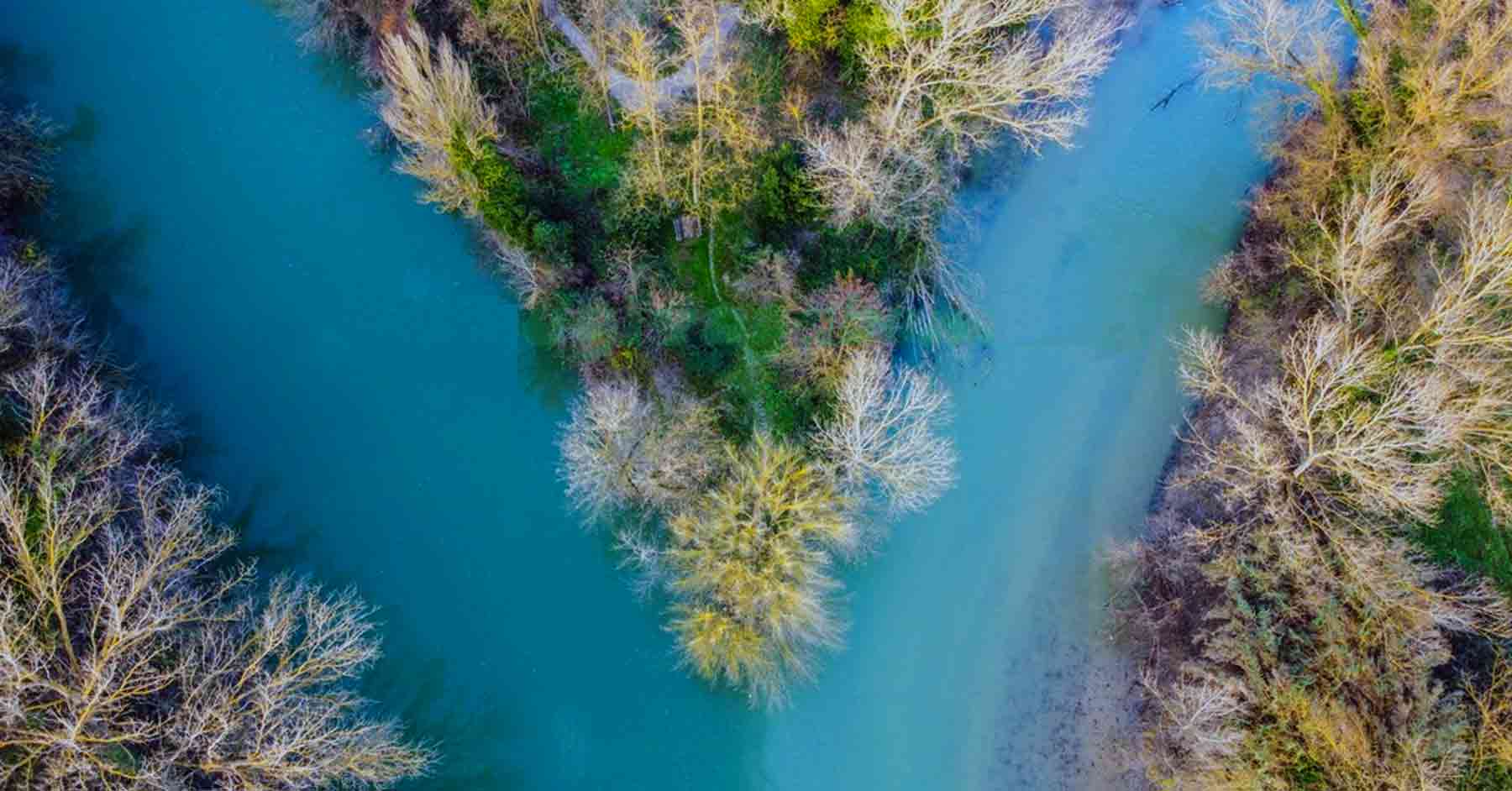sponde del tevere