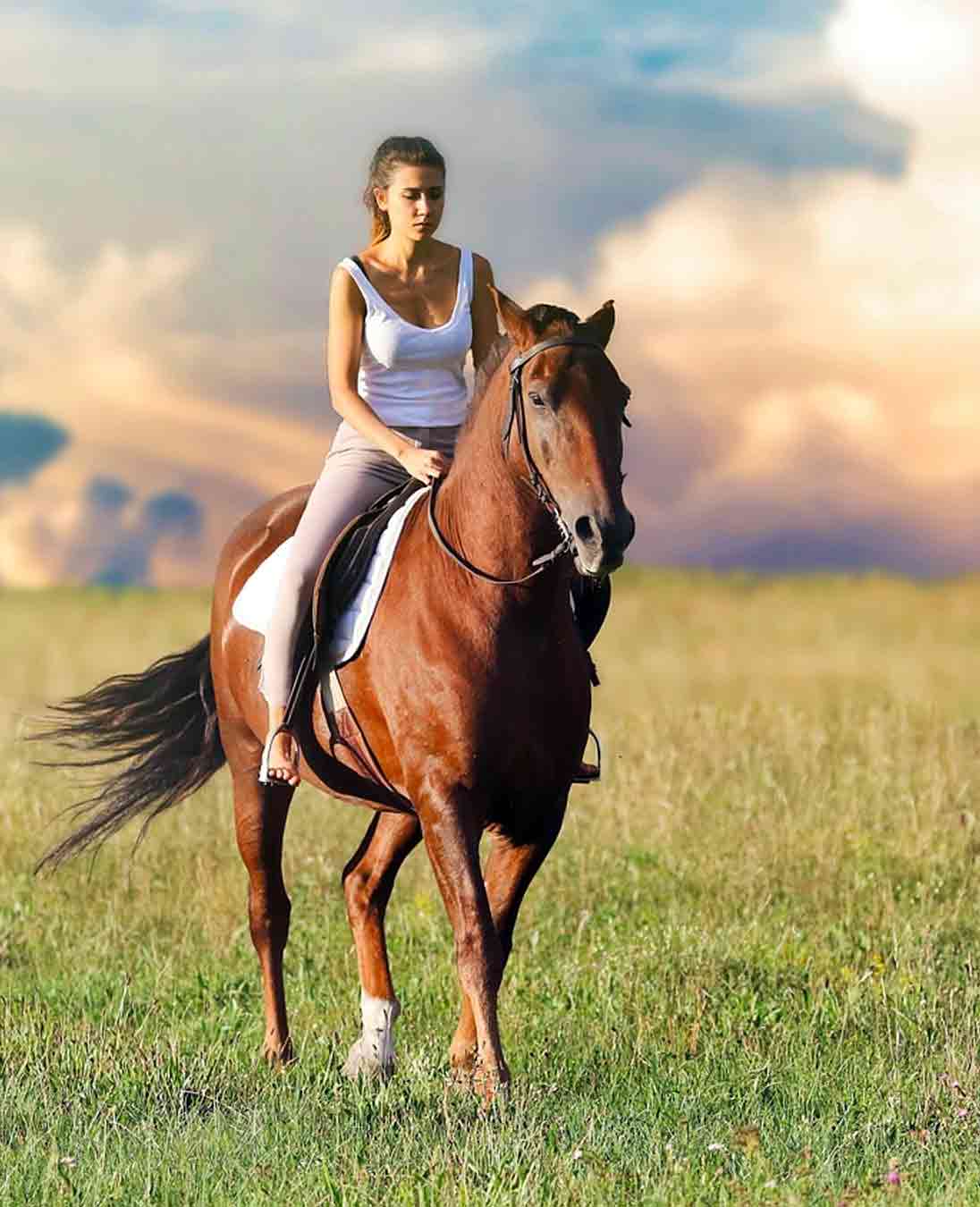 turismo "con il cavallo"