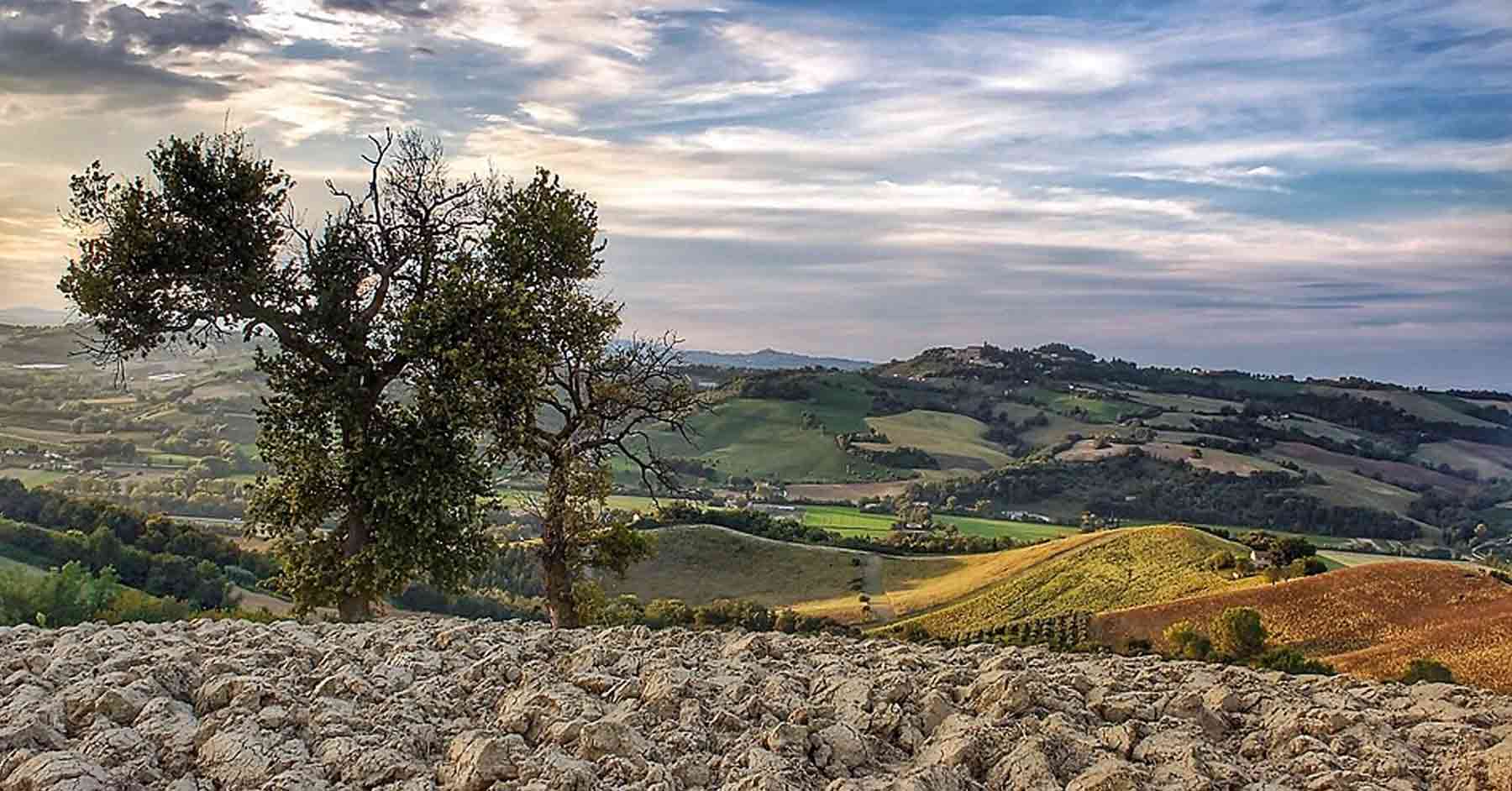 Valle dell'Aso